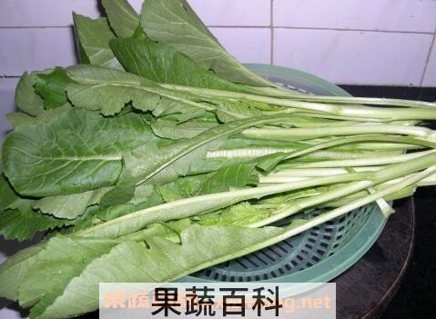 白萝卜叶怎么做好吃 白萝卜叶的做法步骤教程