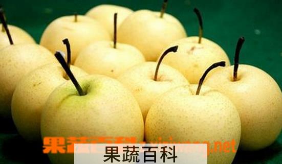 果蔬百科梨的功效与作用及禁忌