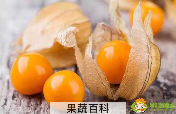 姑娘果是什么季节的水果，怎样挑熟透的姑娘果