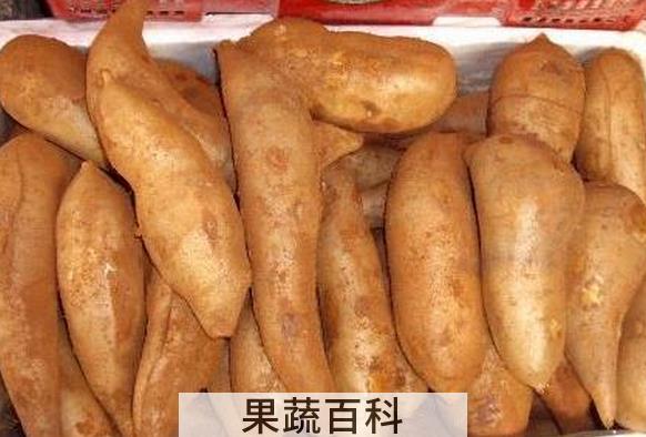 果蔬百科雪莲果的营养价值与功效