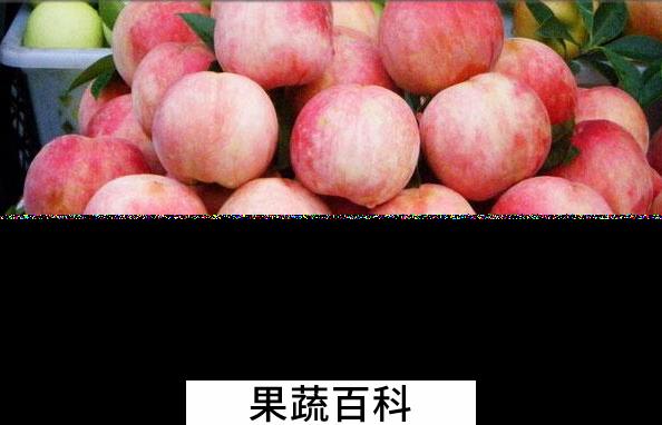 果蔬百科水蜜桃的营养价值