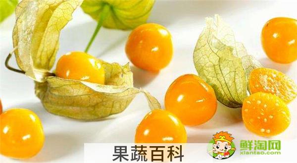 姑娘果是什么果，姑娘果的味道和什么接近