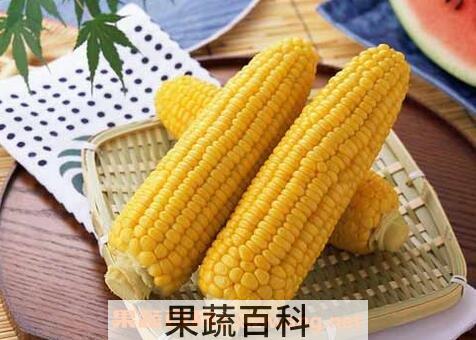 玉米的功效与作用 玉米的药用价值