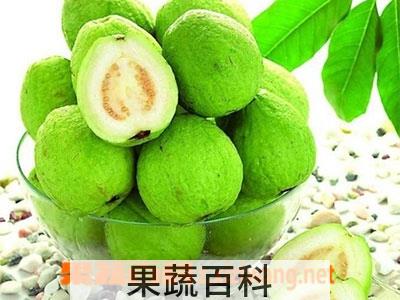 果蔬百科芭乐怎么吃 芭乐的吃法技巧