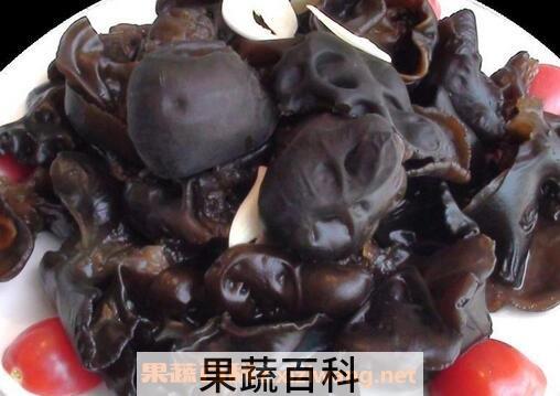 木耳的功效与作用 木耳的药用价值