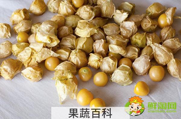 灯笼果多少钱一斤，灯笼果几月份成熟