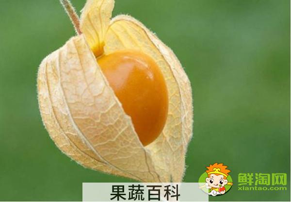 灯笼果多少钱一斤，灯笼果几月份成熟