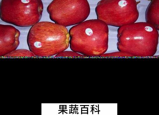 果蔬百科吃蛇果的好处有哪些