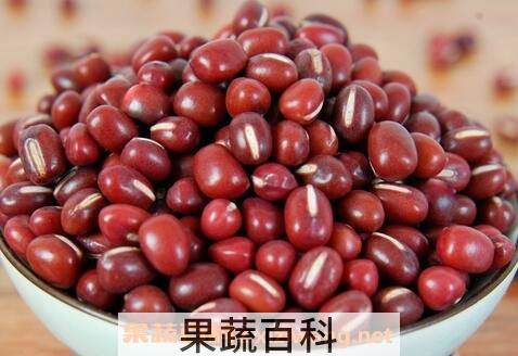 红豆的功效与作用 红豆的药用价值