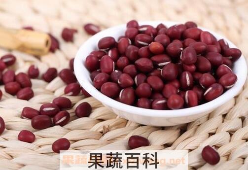 红豆的功效与作用 红豆的药用价值