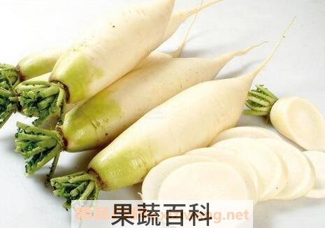 白萝卜的功效与作用 吃白萝卜的好处