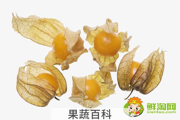 灯笼果是什么样的，灯笼果和黑加仑的区别