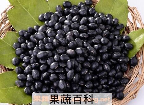 黑豆的功效与作用 黑豆的药用价值