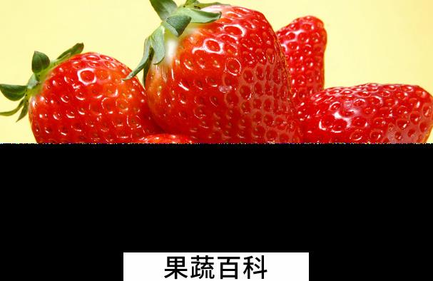 果蔬百科草莓怎么洗才干净