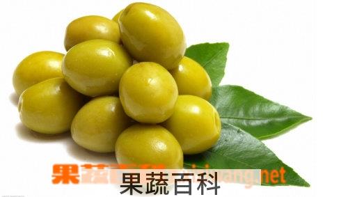 果蔬百科橄榄的功效与作用
