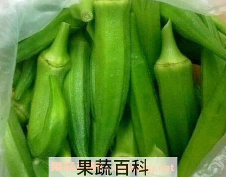 秋葵的功效与作用 秋葵的药用价值