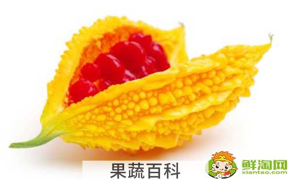 金铃子是苦瓜吗，金铃子几月份成熟