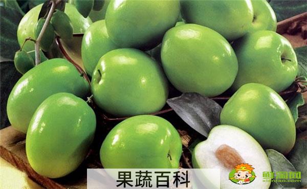大青枣一年结几次果，大青枣喷什么药能结果多