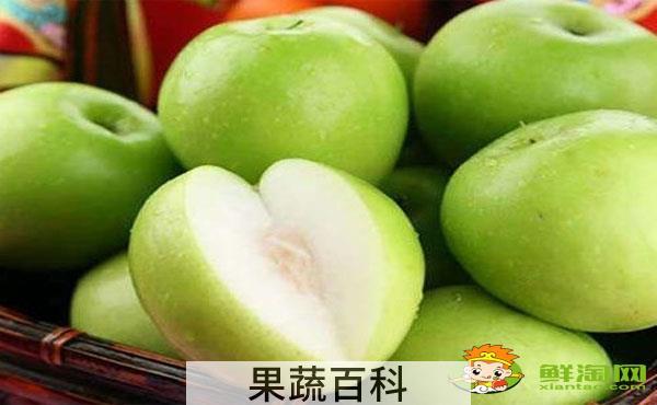 大青枣一年结几次果，大青枣喷什么药能结果多