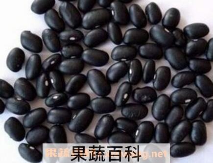 黑豆和黑芸豆的区别