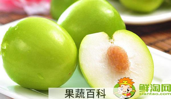 台湾大青枣有多大，台湾青枣大的好还是小的好吃