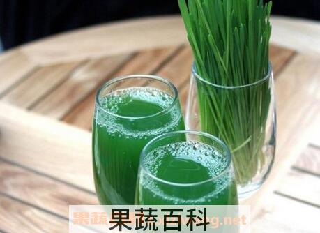 小麦草汁的功效与作用