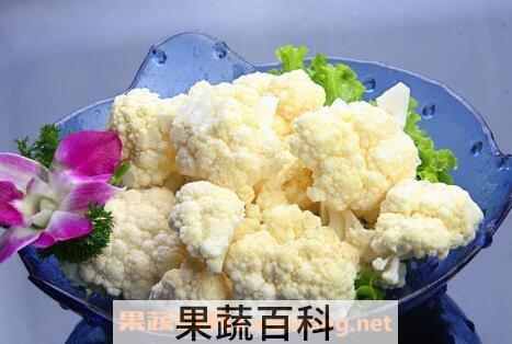 白椰菜的功效与作用