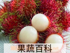 果蔬百科毛荔枝的功效与作用