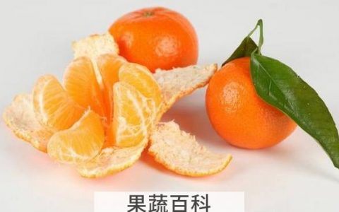 桔子皮的用处有哪些图片 桔子皮的用处有哪些呢