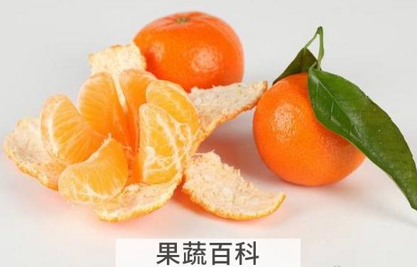 果蔬百科桔子皮的用处有哪些
