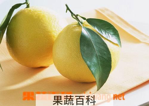 果蔬百科柚子的热量有多高?