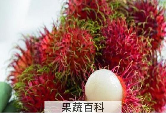 果蔬百科红毛丹的常见吃法