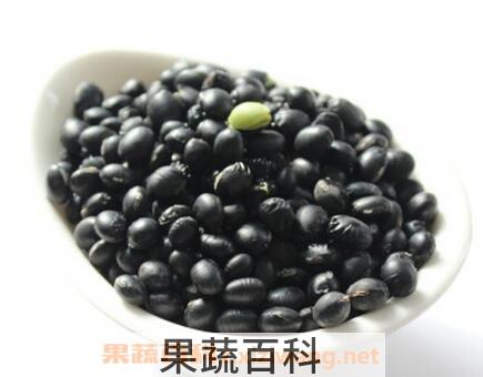 绿芯黑豆的功效与作用及禁忌