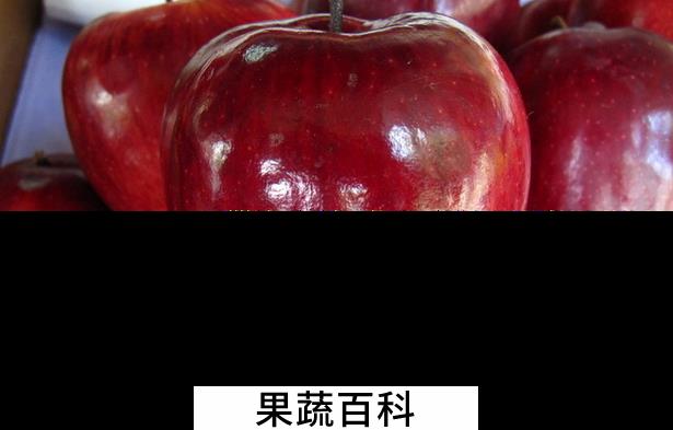 果蔬百科吃蛇果的好处有哪些