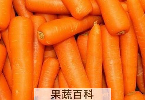 胡萝卜汁的功效与作用及做法