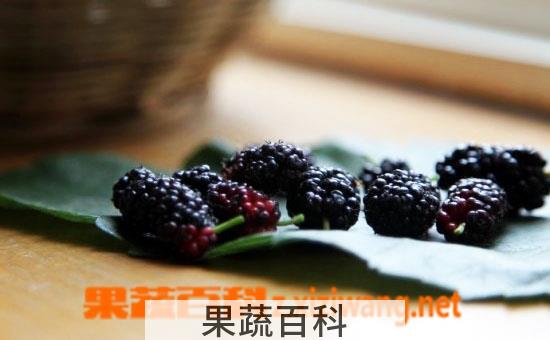 果蔬百科桑葚的作用有哪些 吃桑葚有什么好处
