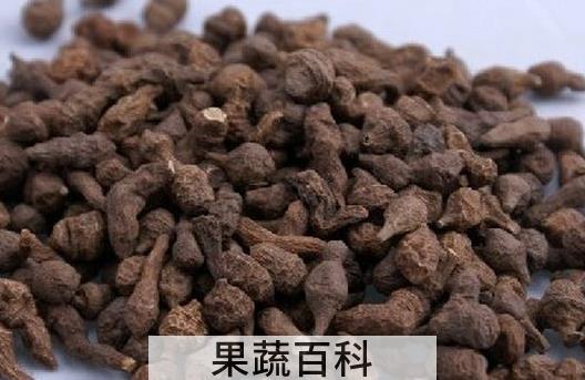 果蔬百科干人参果怎么吃