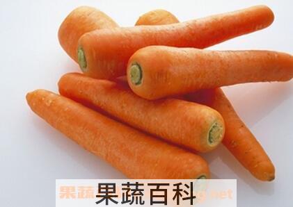 胡萝卜怎么吃最有营养 胡萝卜怎么吃最好