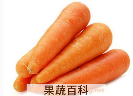 胡萝卜素的功效与作用
