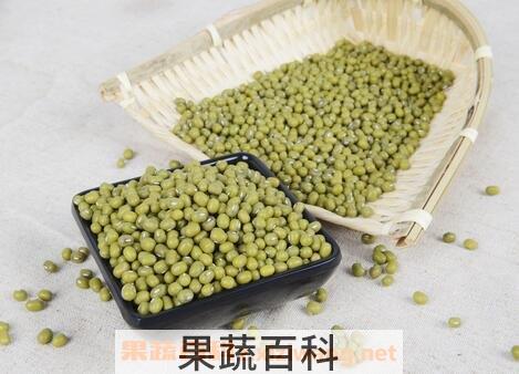 绿豆怎么煮容易烂 绿豆快速煮烂的方法
