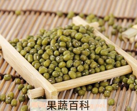 绿豆怎么煮容易烂 绿豆快速煮烂的方法