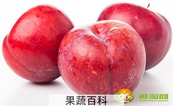 红布林熟了是什么样子，红布林怎么吃削皮