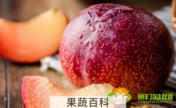红布林熟了是什么样子，红布林怎么吃削皮