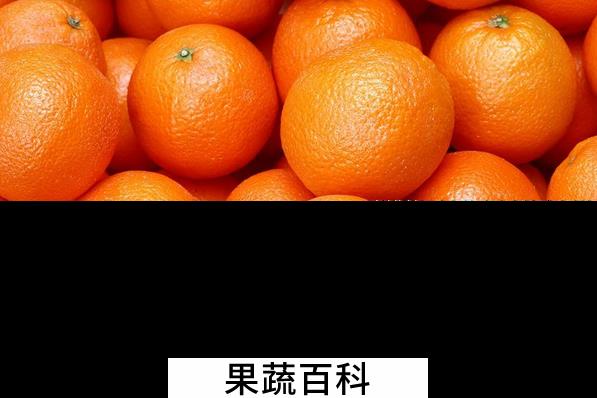 果蔬百科秋天吃桔子的好处有哪些
