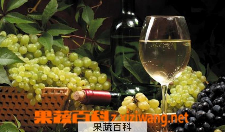 果蔬百科自制葡萄酒的危害