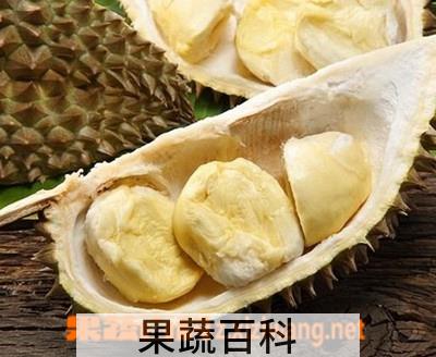 果蔬百科榴莲的功效与作用