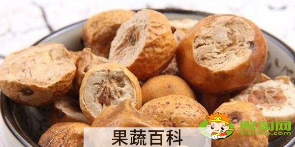 金铃子和川楝子是一种东西吗，金铃子与川楝子的区别