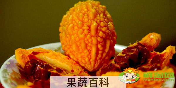金铃子和川楝子是一种东西吗，金铃子与川楝子的区别