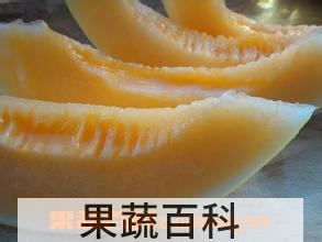 果蔬百科黄河蜜的功效与作用