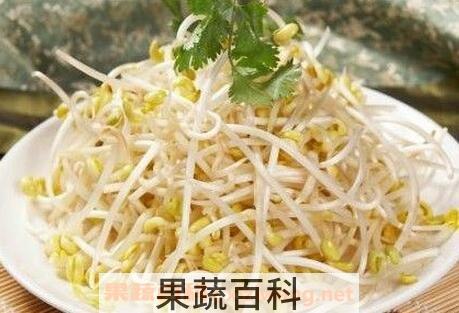 绿豆芽的营养价值 吃绿豆芽的好处
